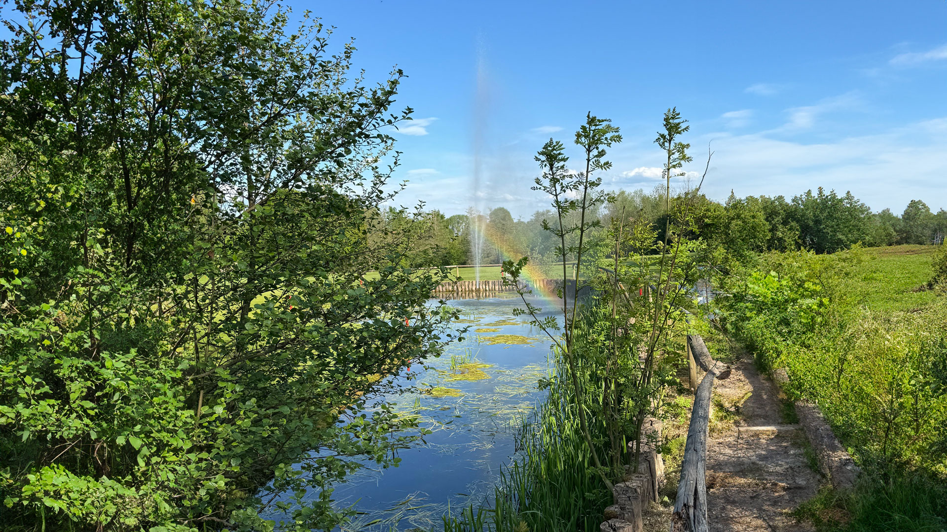 Regenbogen